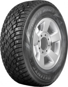 Delinte Winter WD42