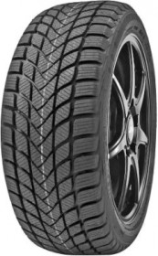 Delinte Winter WD6
