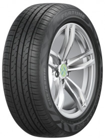 Fortune FSR-802