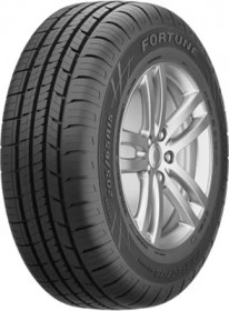 Fortune Perfectus FSR-602